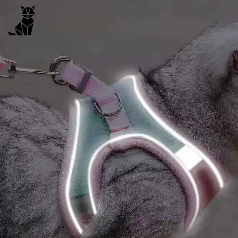 Bezpieczne Szelki dla Kota w Każdej Podróży Odblaskowy Kot Uprząż