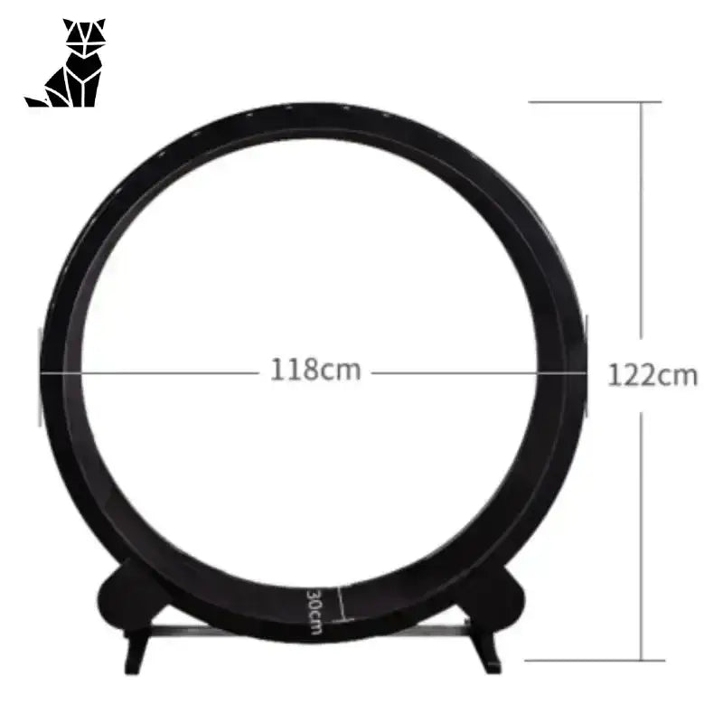 Bieżnia dla Kota – Przewodnik Krok po Kroku Czarny Kot ćwiczenie