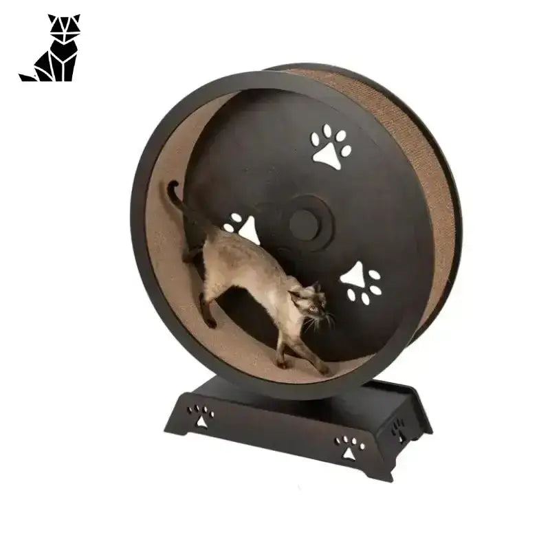 Bieżnia Drewniana dla Kota – Styl i Zabawa a Ciemność Brązowy Drewniany