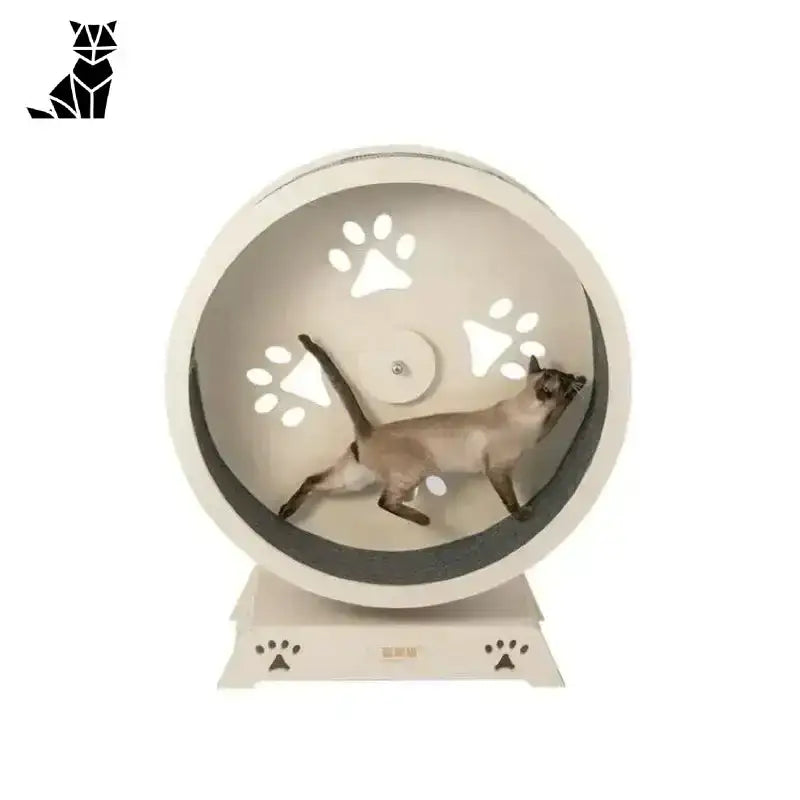 Bieżnia Drewniana dla Kota – Styl i Zabawa b Syjam Kot Wewnątrz