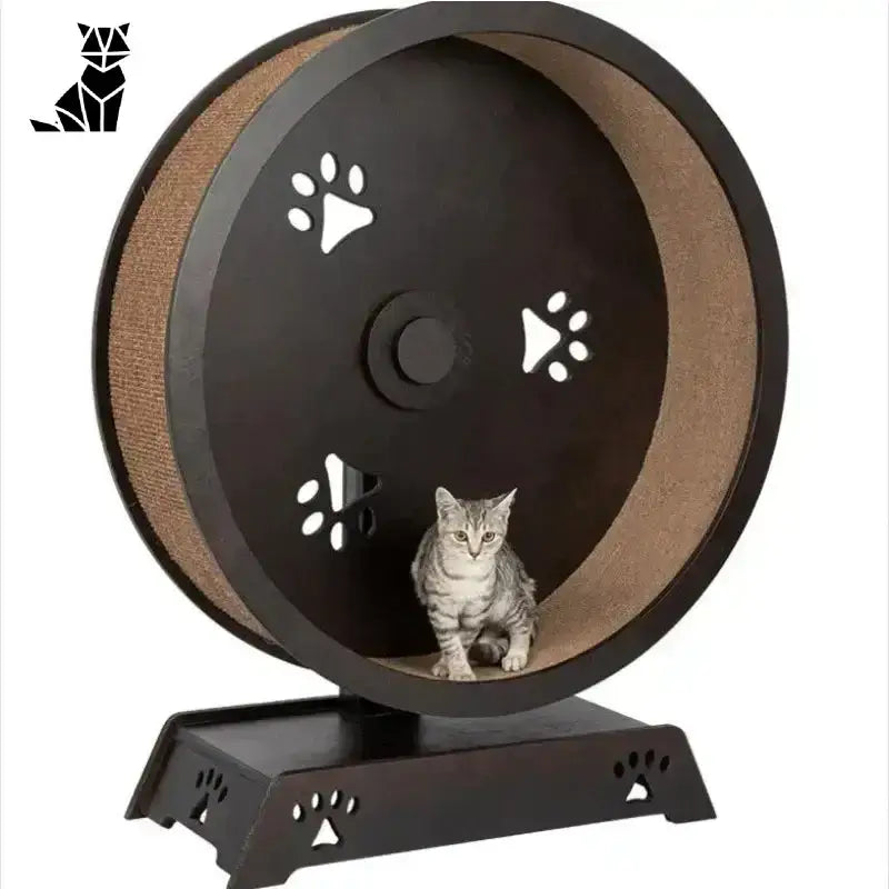 Bieżnia Drewniana dla Kota – Styl i Zabawa Ciemność Brązowy Kot