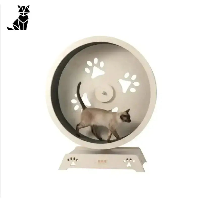 Bieżnia Drewniana dla Kota – Styl i Zabawa Jasny Kot ćwiczenie