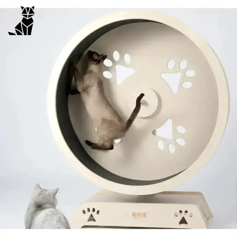 Bieżnia Drewniana dla Kota – Styl i Zabawa Kot ćwiczenie Koło