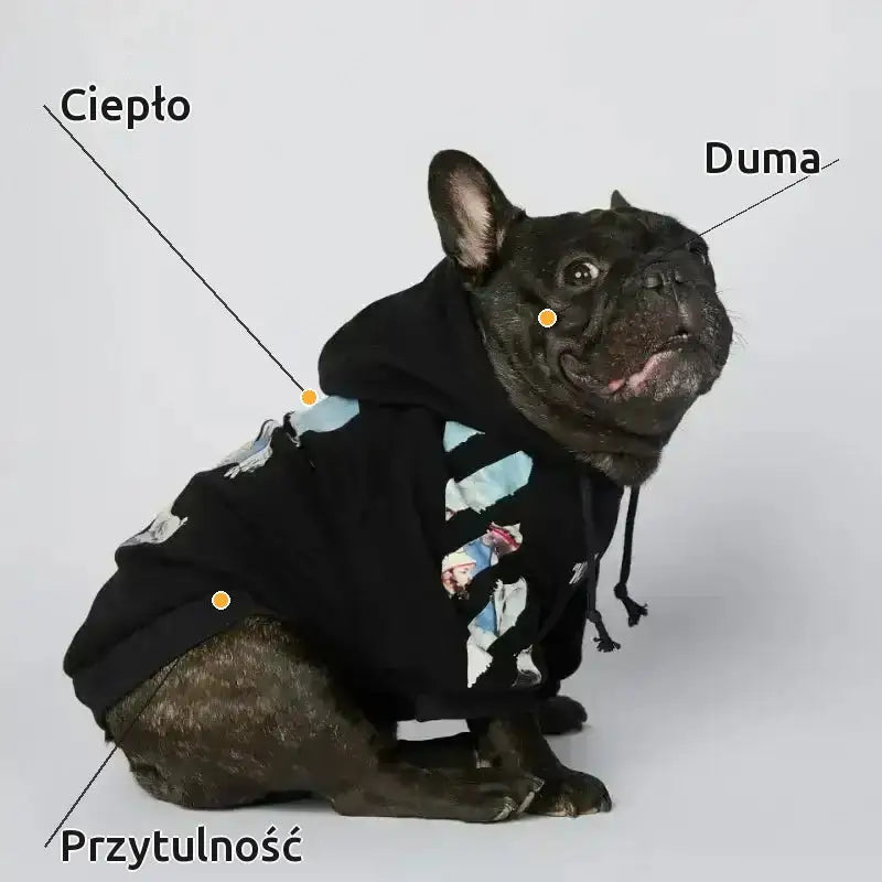 Bluza dla Psa Ocieplana Wygodna na co Dzień