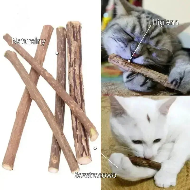 Catstick do Higieny Jamy Ustnej dla Kotów