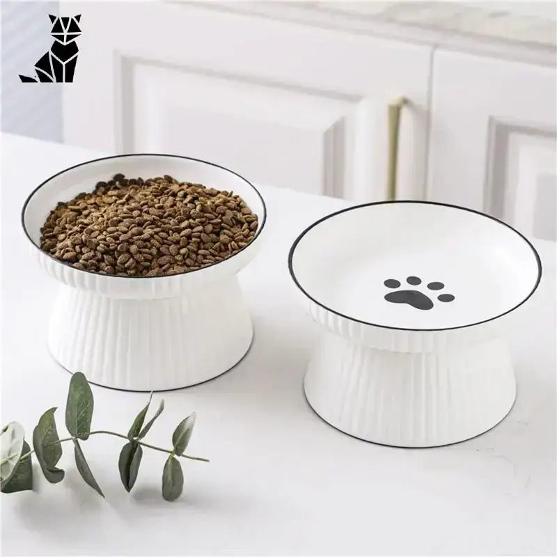 Ceramiczna Miska dla Kota - Kontrola Tempa Jedzenia Podwyższony Biały Ceramika