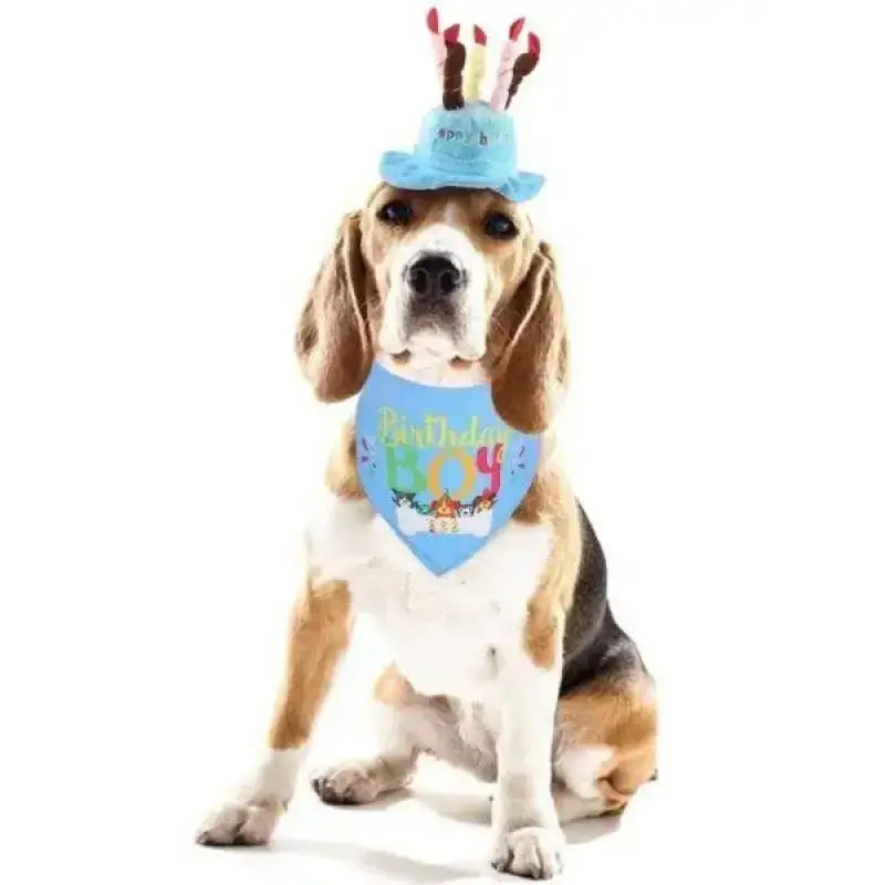 Czapeczka Urodzinowa dla Psa z Elastyczną Gumką Beagle Niebieski Urodziny