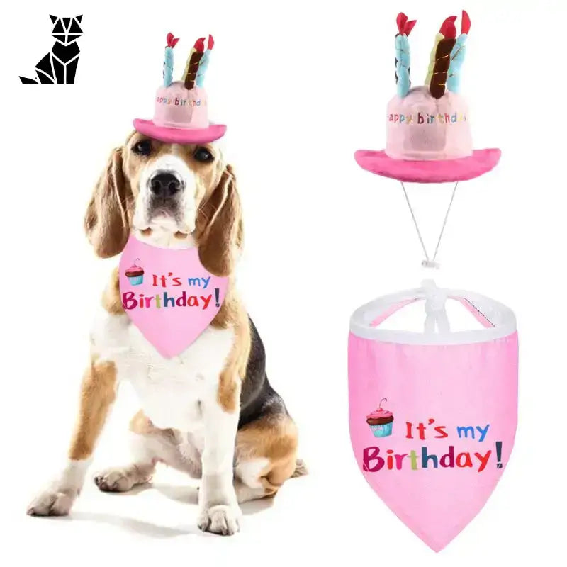 Czapeczka Urodzinowa dla Psa z Unikalnym Designem Beagle Pies Różowy