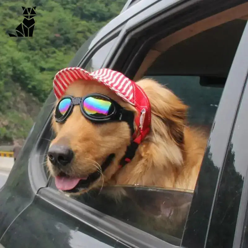 Czapka Bejsbolówka dla Psa z Unikalnym Stylem Złoty Retriever Czerwony