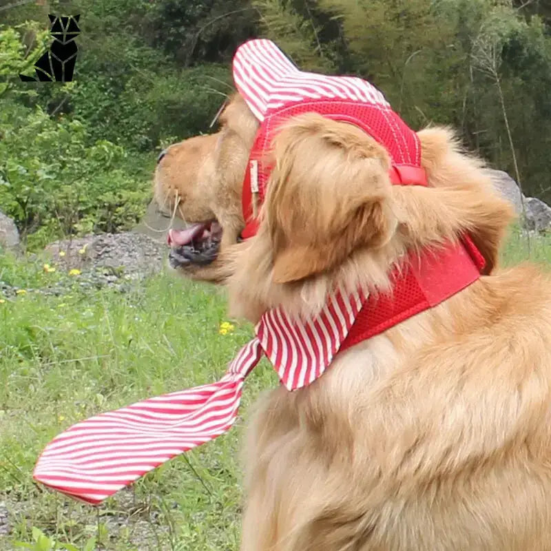 Czapka Bejsbolówka dla Psa z Unikalnym Stylem Złoty Retriever Czerwony