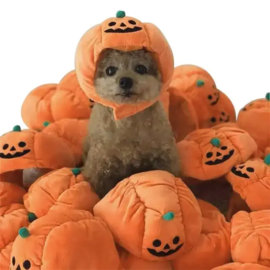 Czapka Halloween dla Psa Wygodna Organiczna Tytuł Domyślny Puszysty Pies Pomarańczowy