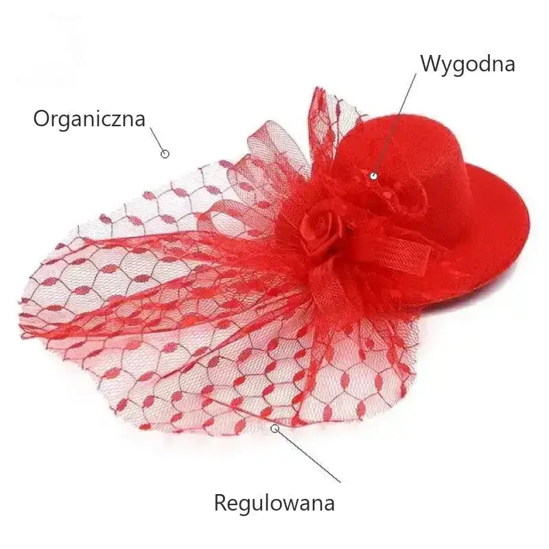 Czapki dla Kota Stylowe Wygodne Miękkie