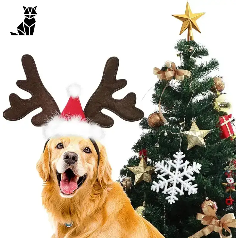 Czapki Pupil świąteczne Reniferowe dla Psa Tytuł Domyślny Złoty Retriever Renifer