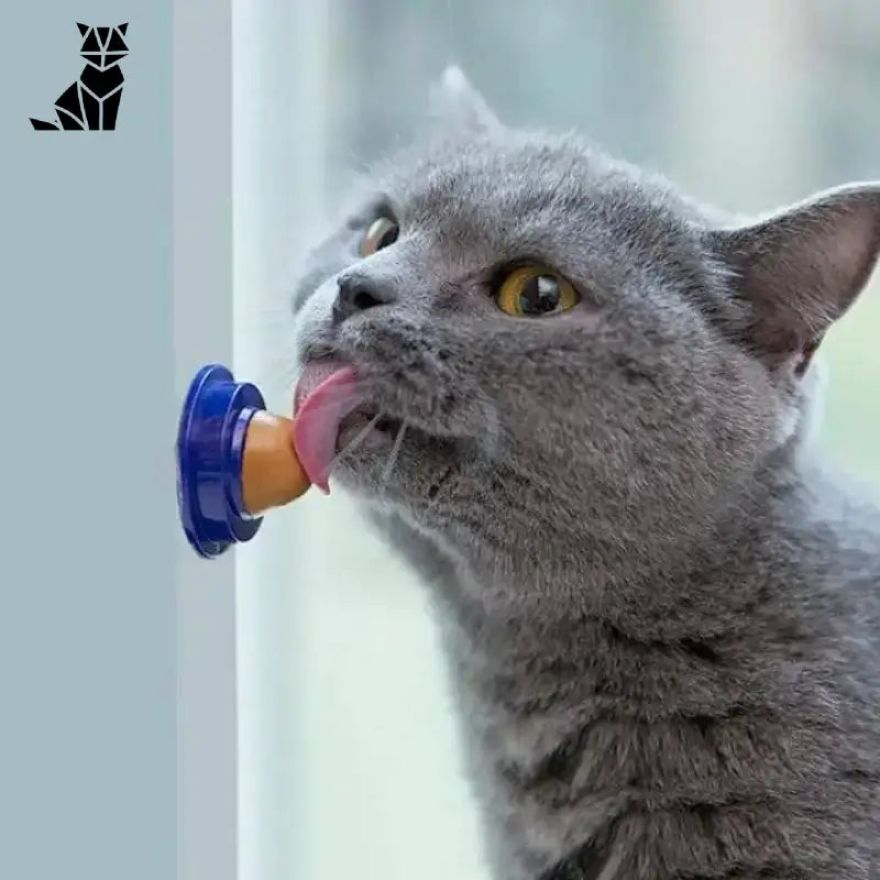 Delicecat dla Kota: Wspiera Odporność i Zdrowie Delicecat™