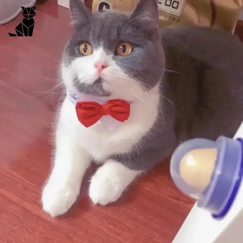 Delicecat dla Kota: Wspiera Odporność i Zdrowie Delicecat™
