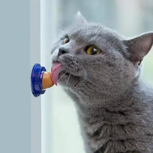 Delicecat dla Kota: Wspiera Odporność i Zdrowie Delicecat™ Szary Kot Niebieski