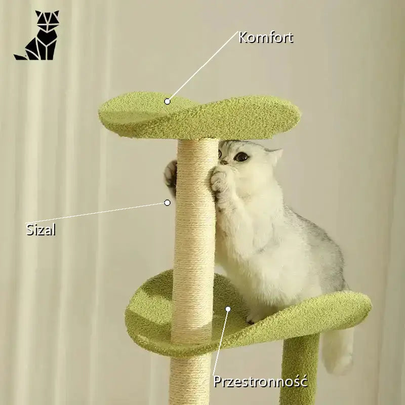 Domek dla Kota z Drapakiem Modułowy Wygodny