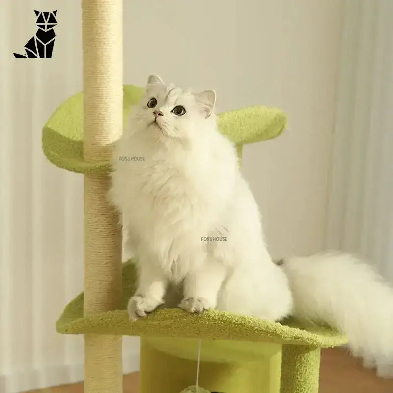 Domek dla Kota z Drapakiem Pełen Zabawy Puszysty Biały Kot