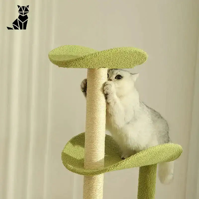 Domek dla Kota z Drapakiem Pełen Zabawy Wielopoziomowy Kot Stanowisko