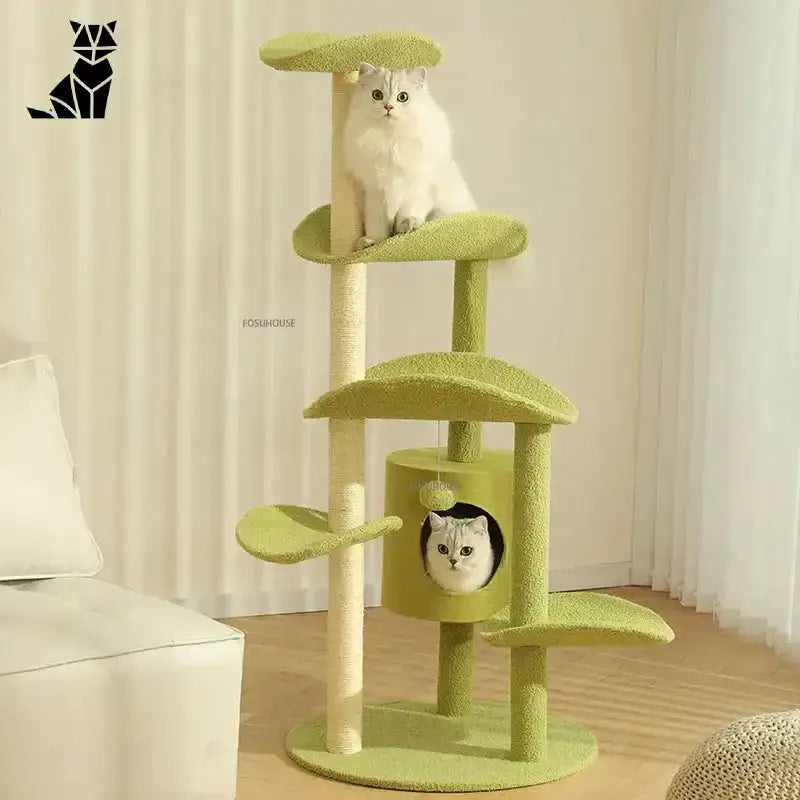 Domek dla Kota z Drapakiem Pełen Zabawy Wielopoziomowy Zielony Kot