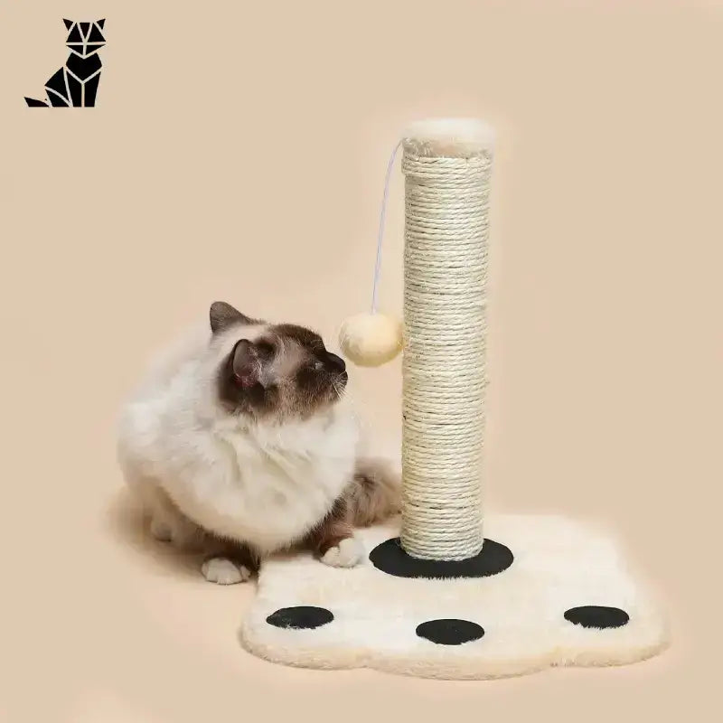 Domek Drapak dla Kota – Styl i Wygoda Beżowy Kot Stanowisko Zabawka