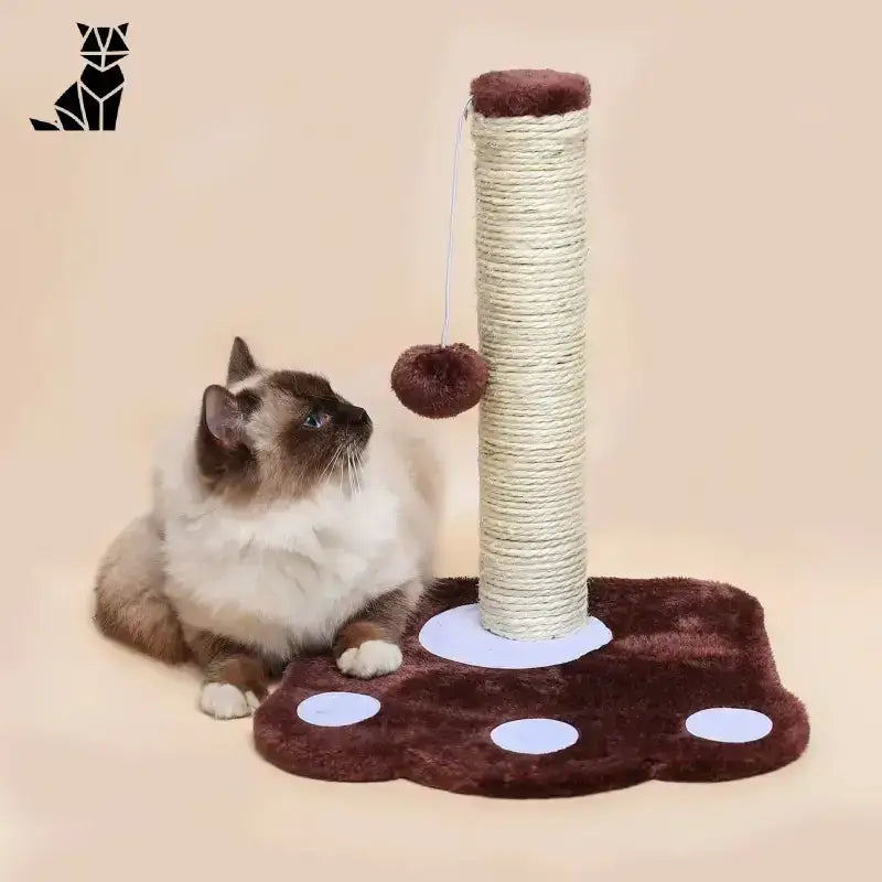 Domek Drapak dla Kota – Styl i Wygoda Brązowy Kot Stanowisko Brązowy