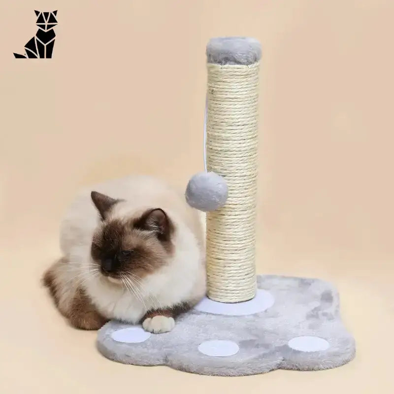 Domek Drapak dla Kota – Styl i Wygoda Szary Kot Stanowisko Puszysty