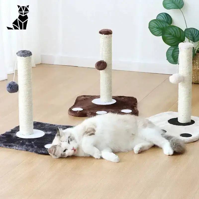 Domek Drapak dla Kota – Styl i Wygoda Trzy Kot Stanowiska