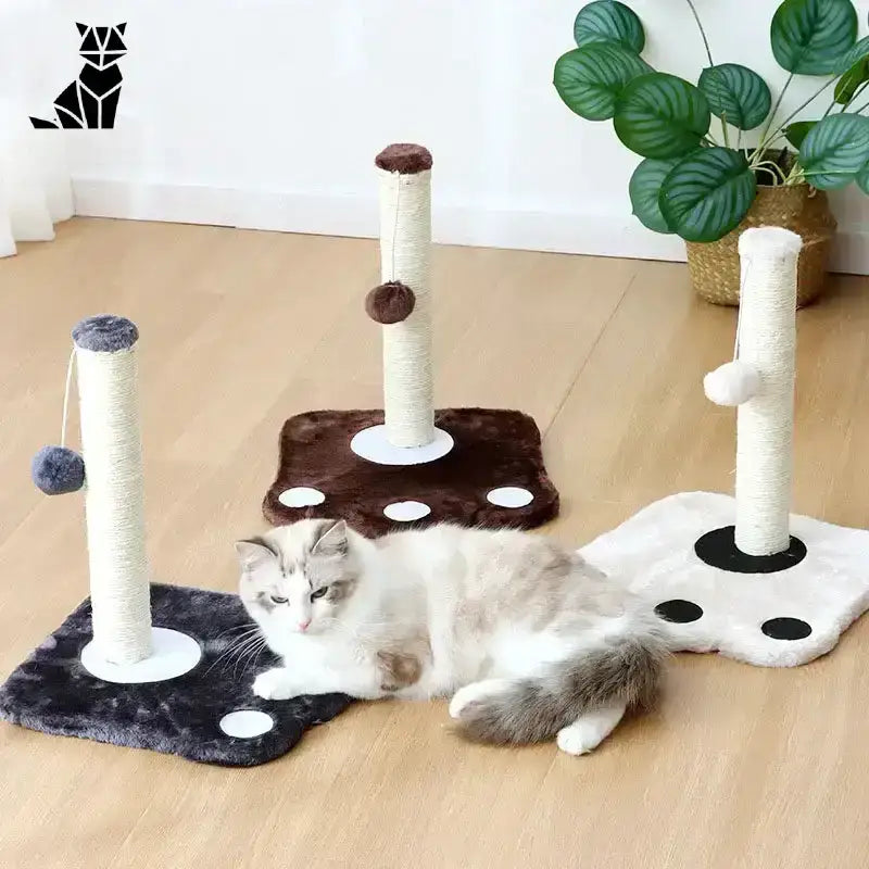 Domek Drapak dla Kota – Styl i Wygoda Trzy Kot Stanowiska