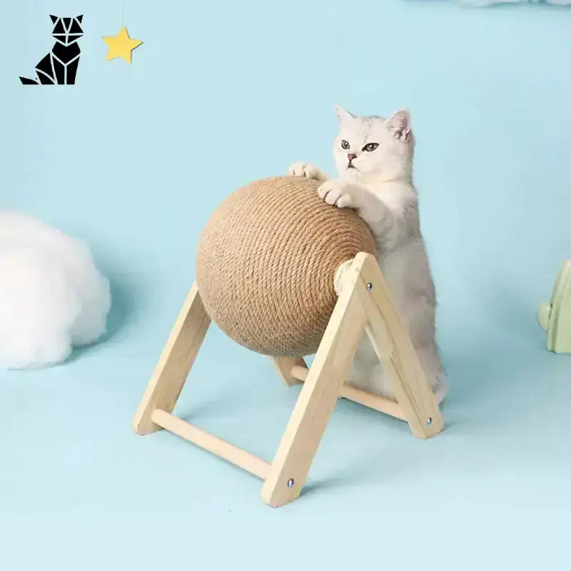 Domek z Drapakiem dla Kota Pełen Zabawy Kot Piłka Wykonany