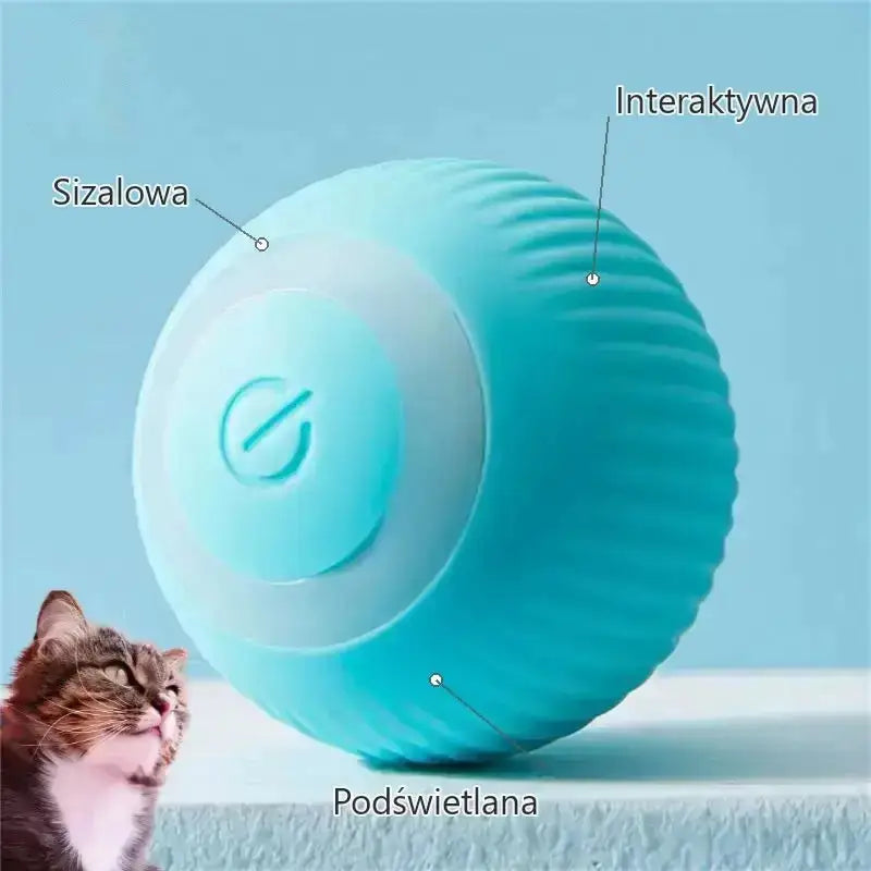 Drapak Kula Interaktywna Zabawka dla Kota Niebieski