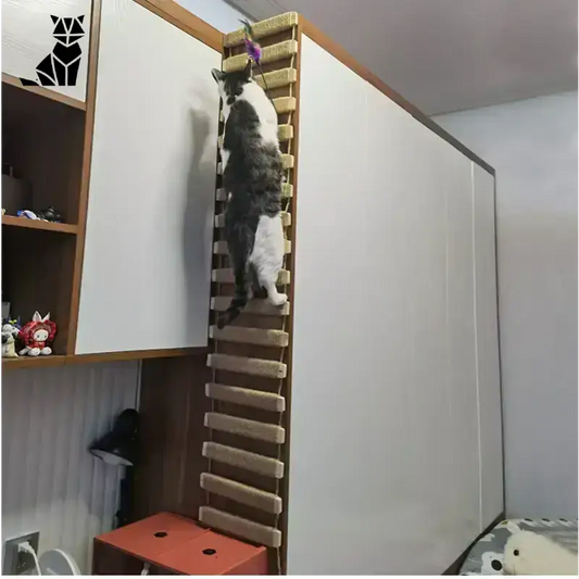 Drapak Mocowany do ściany dla Kota