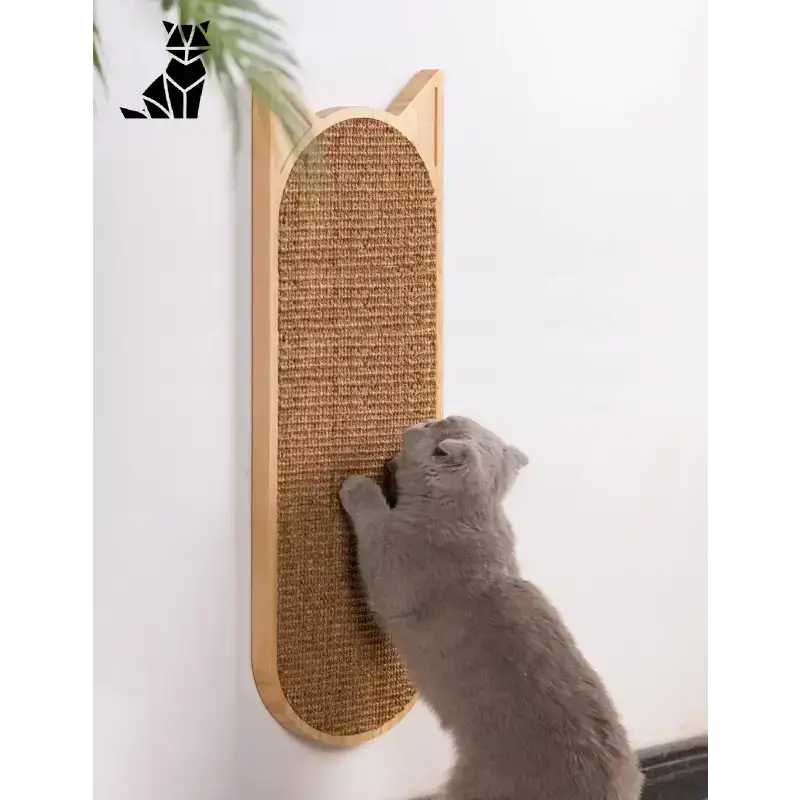 Drapak ścienny dla Kota 52cm 18cm Montowany na ścianie Kot Tablica
