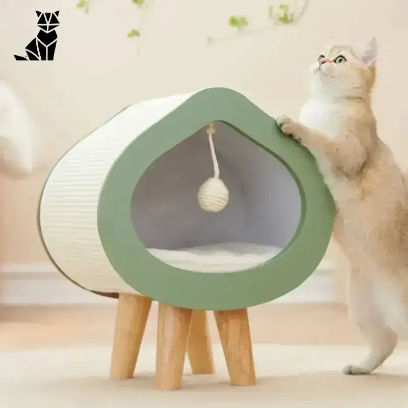 Ekologiczne Legowisko dla Kota – Komfort i Styl Nowoczesny Podwyższony Kot