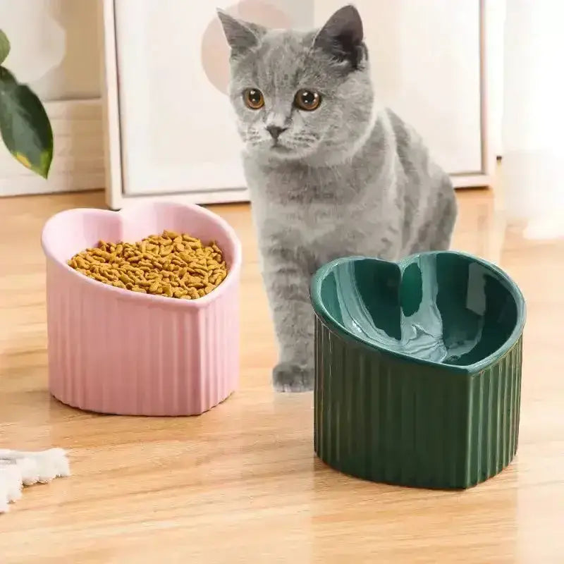 Elegancka Miska Ceramiczna dla Kota z Designem