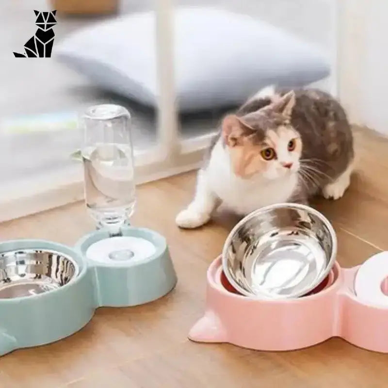 Elegancka Miska dla Kota - Stylowy Design Wysoka Jakość Tytuł Domyślny dwie Miski Zwierzak Podajnik
