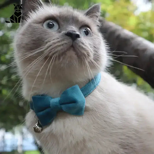 Elegancka Muszka dla Kota na Każdą Okazję Jasny Kot Niebieski