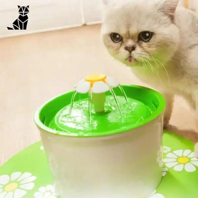 Fontanna Catdrink dla Kota Nawadniająca z Filtrem Biały Kot Zielony