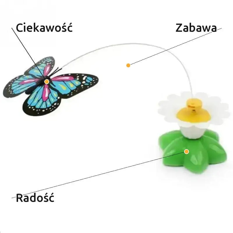 Interaktywna Zabawka dla Kota Latającego Motyla Losowy