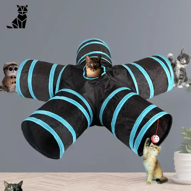 Jak Zrobić Tunel dla Kota – Praktyczny Poradnik Tunel 5 Staników Czarny Pięciokierunkowy Kot