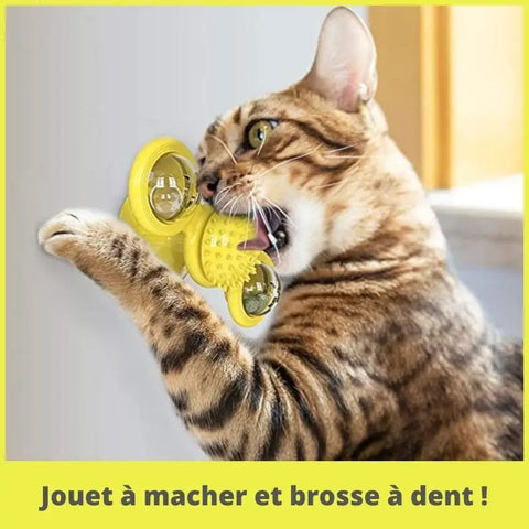 Moulin rotatif pour chat 3 en 1 | CatsMill™