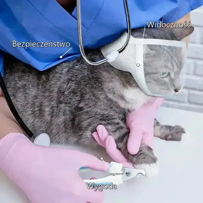 Kaganiec dla Kota Przezroczysty Wygodny