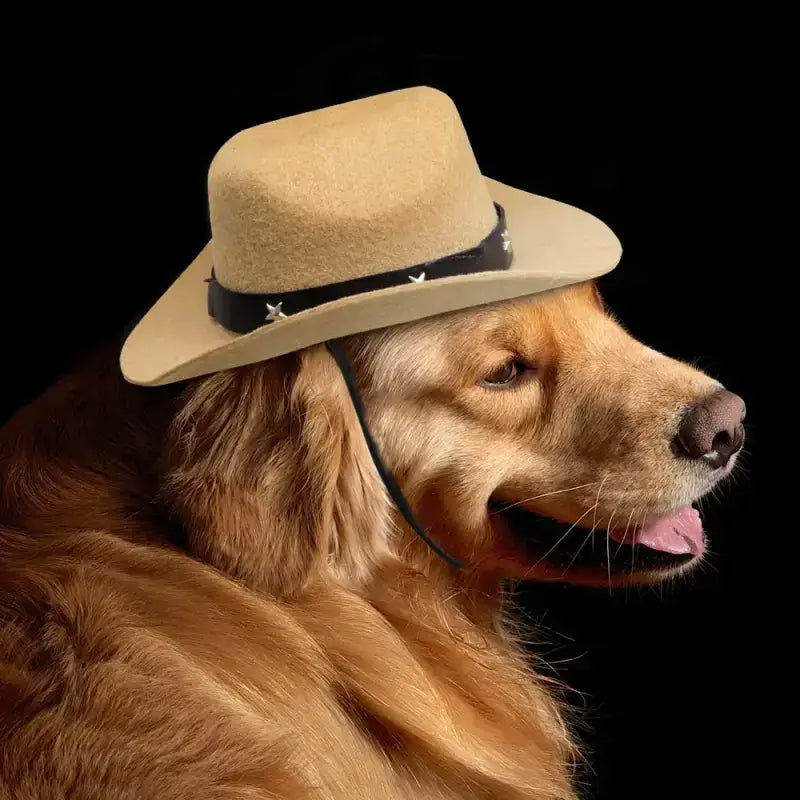 Kapelusz dla Psa: Stylowy Design i Komfortowy Materiał Beżowy Złoty Retriever Kowboj