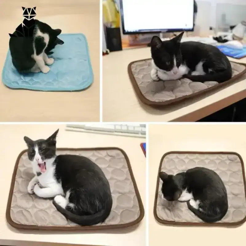 Koc Chłodzący dla Kota na Upalne Dni Czarny Biały Kot