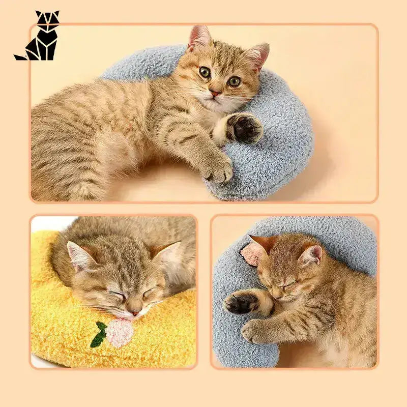 Komfortowe Legowisko dla Kota do Każdego Wnętrza Miękki U-kształtny Zwierzak