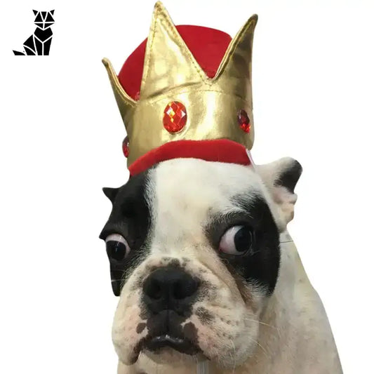 Korona dla Psa Royal Crown – Styl i Komfort Tytuł Domyślny