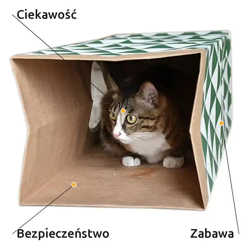 Kot z Papieru Kraft Tunel Zabawowy dla Kota Tytuł Domyślny