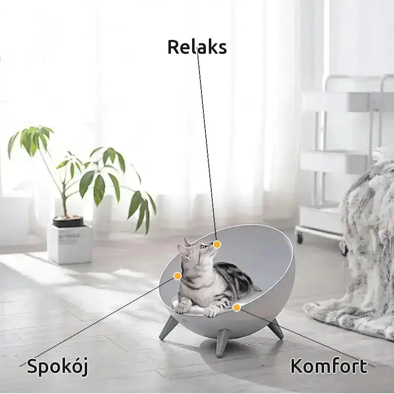 Legowisko Bąbelkowe dla Kotów Komfortowe do 17 Kg