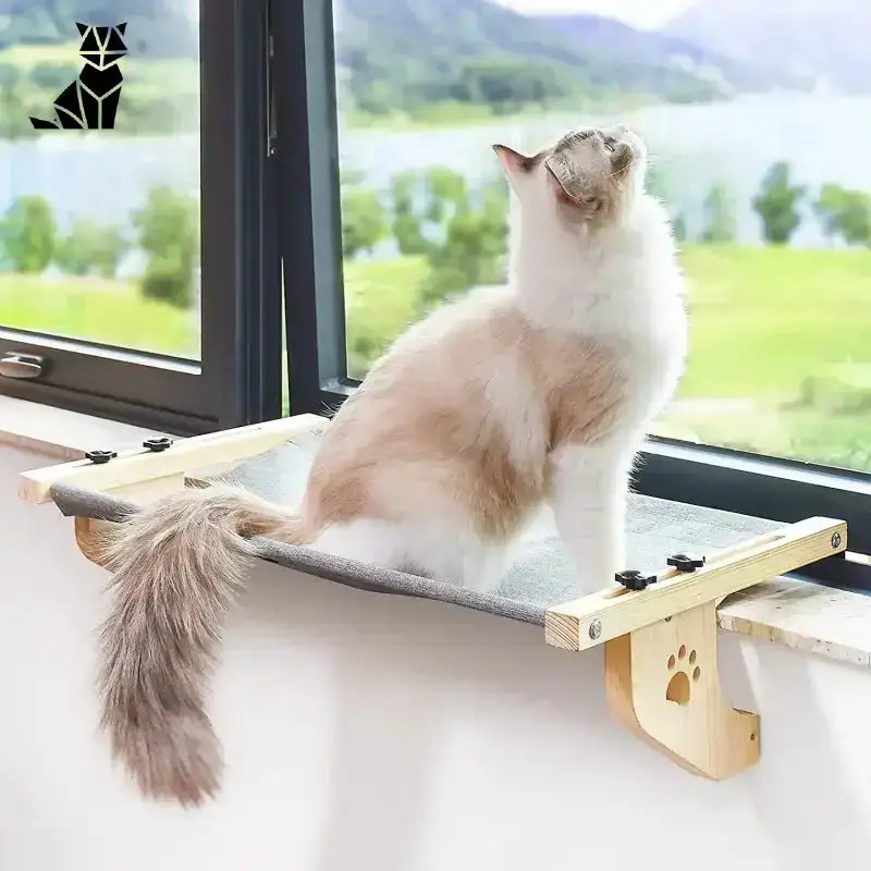 Legowisko dla Kota na Balkon Komfortowe i Stylowe Montowany na Oknie Kot Okoń