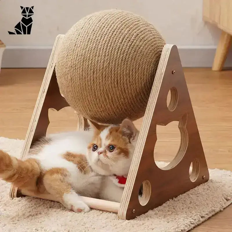 Leżaki dla Kotów – Komfort i Zabawa Kot Stanowisko Trójkątny